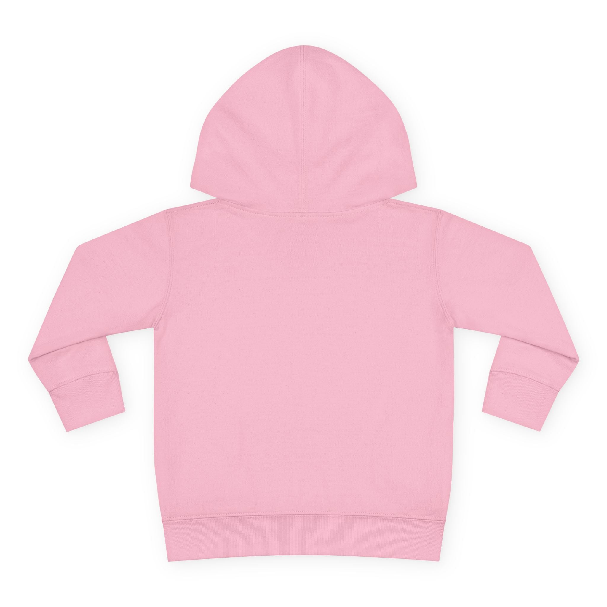 Future Animal Rescuer Toddler Hoodie