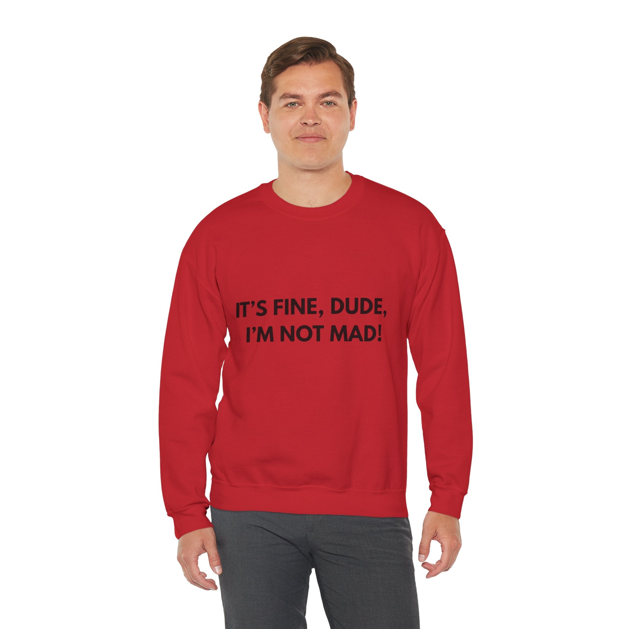 Its Fine Dude- Crewneck Sweatshirt-blk